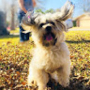 Meet your Posher, Cheri